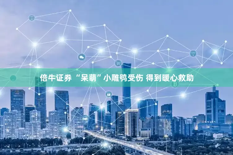 倍牛证券 “呆萌”小雕鸮受伤 得到暖心救助