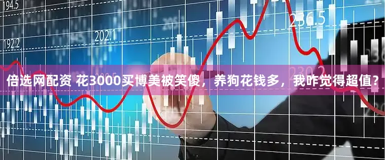 倍选网配资 花3000买博美被笑傻，养狗花钱多，我咋觉得超值？