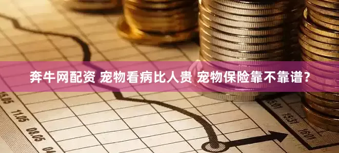 奔牛网配资 宠物看病比人贵 宠物保险靠不靠谱？