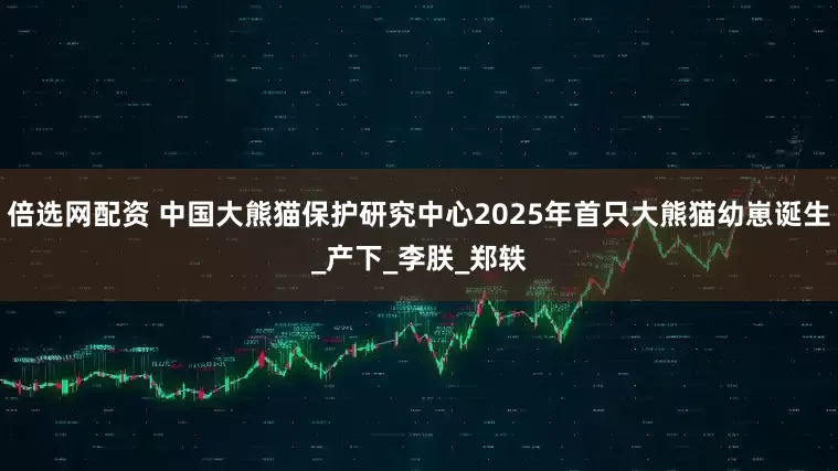 倍选网配资 中国大熊猫保护研究中心2025年首只大熊猫幼崽诞生_产下_李朕_郑轶