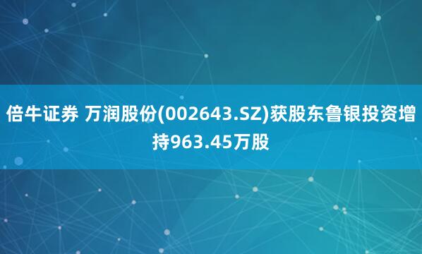 倍牛证券 万润股份(002643.SZ)获股东鲁银投资增持963.45万股