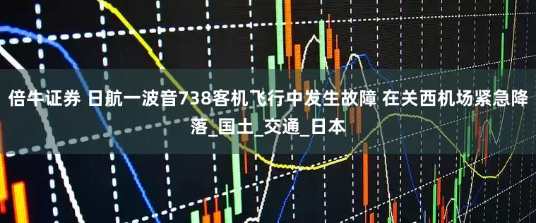 倍牛证券 日航一波音738客机飞行中发生故障 在关西机场紧急降落_国土_交通_日本